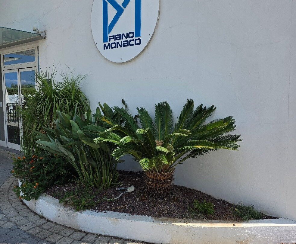 Piano Monaco Piscina