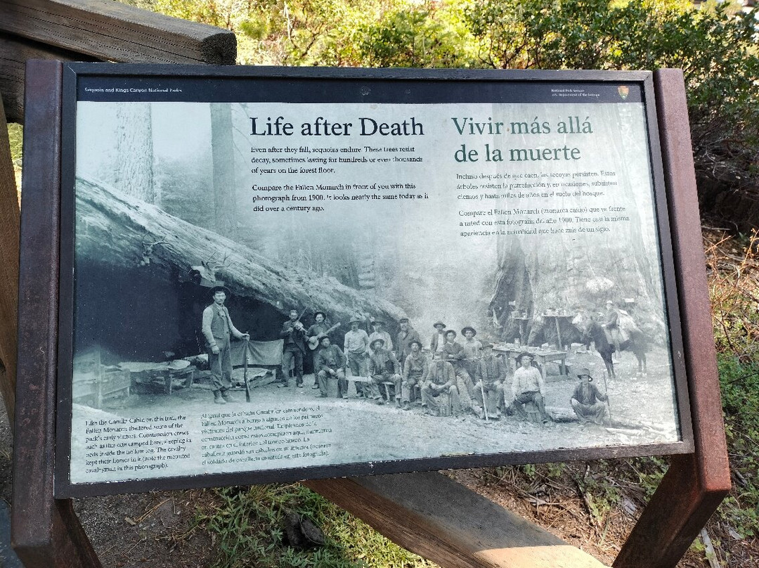 Giant Sequoia National Monument-维塞利亚必去景点