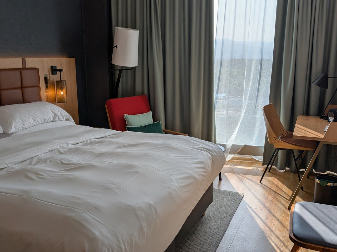 Four Points by Sheraton Panoramahaus Dornbirn主图