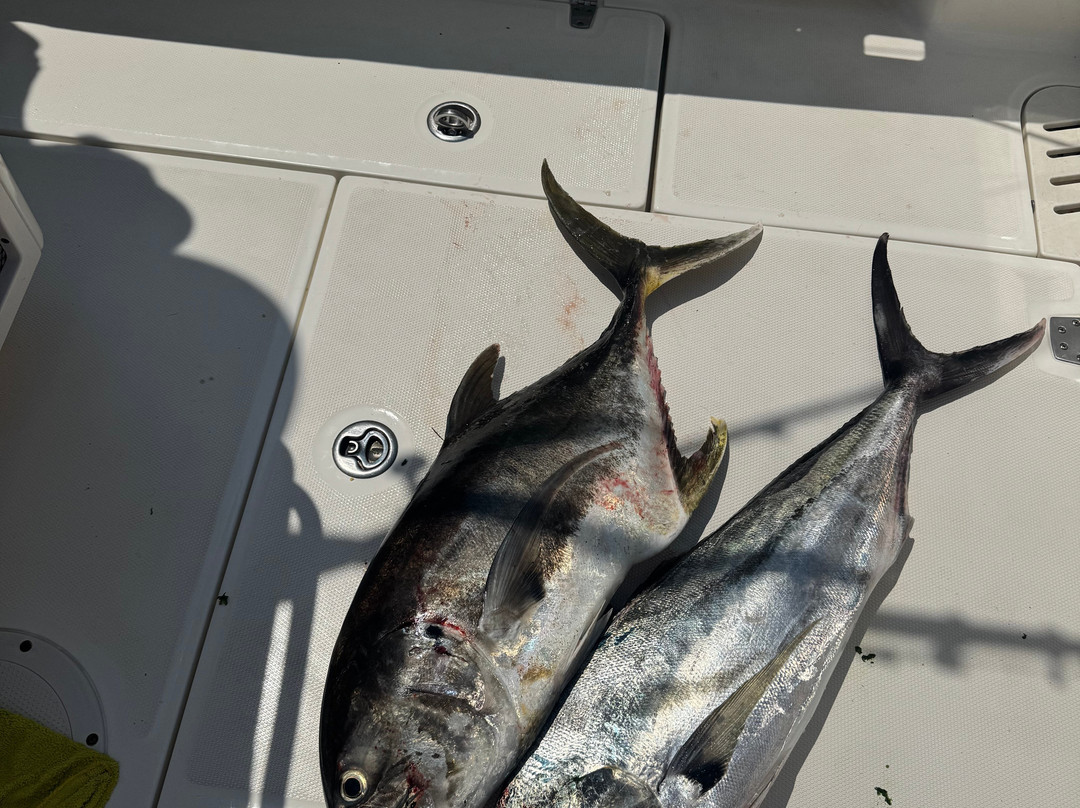 Punta Mita Experience-蓬塔米塔必去景点