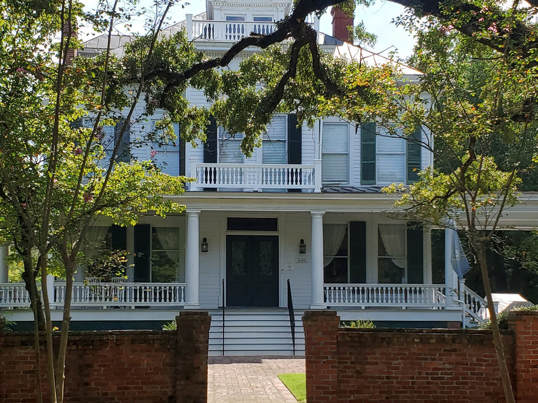 Swamp Fox Tours-乔治敦必去景点