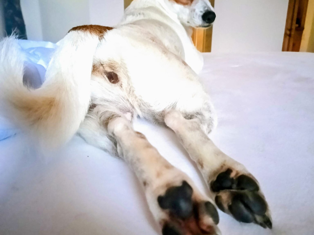 Hotel Tirolerhof主图