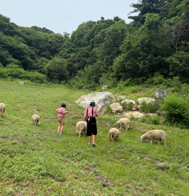 Edelweiss-加平郡必去景点