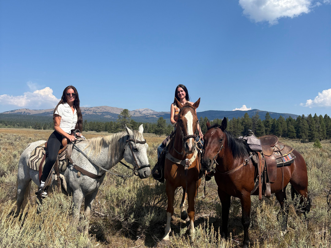 Yellowstone Horses - Eagle Ridge Ranch-艾兰帕克必去景点