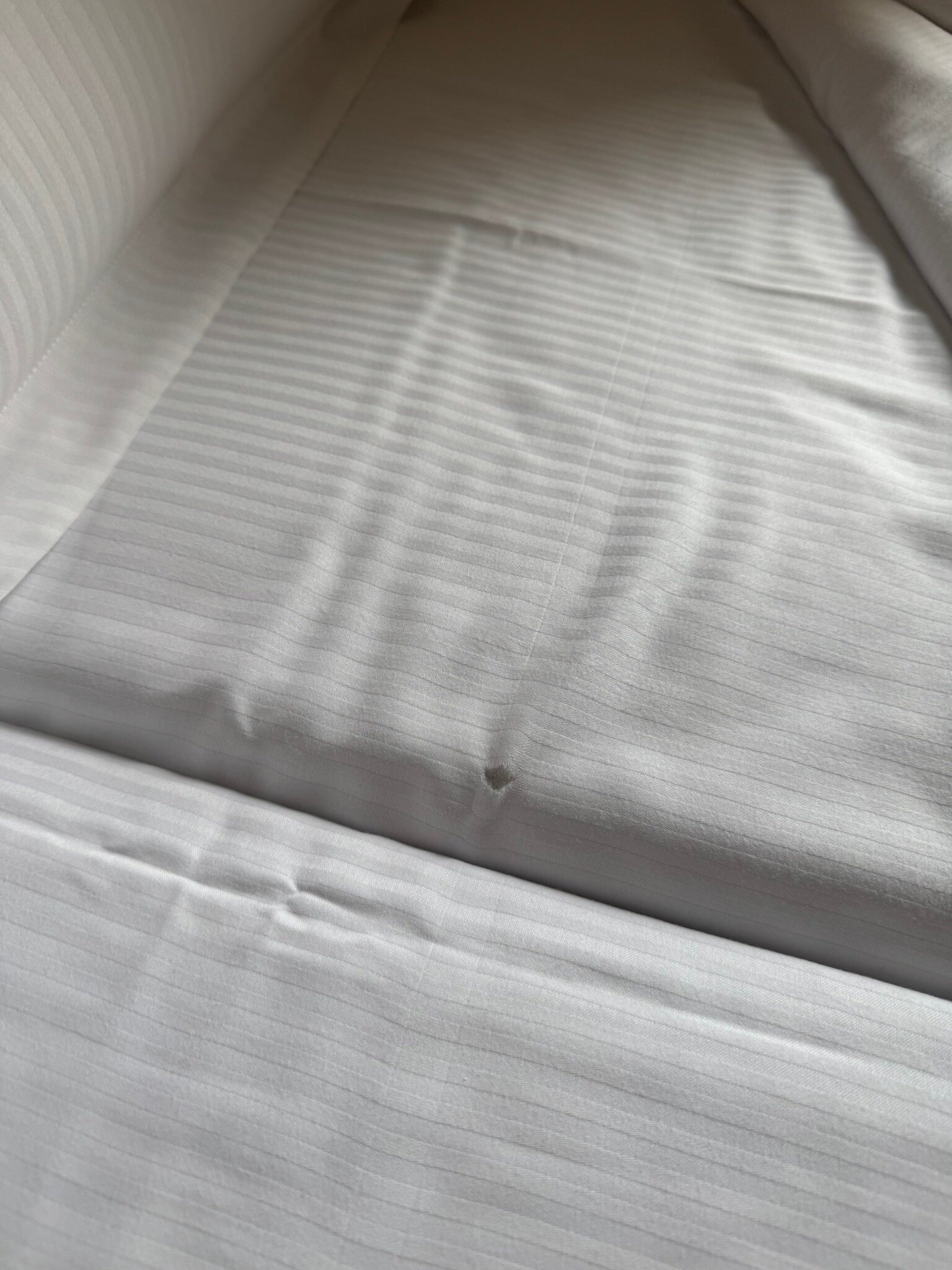 亚特兰大宫殿酒店-官方