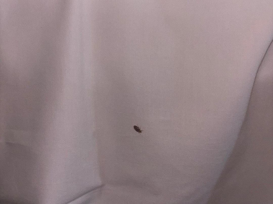 Travelodge London Stratford主图