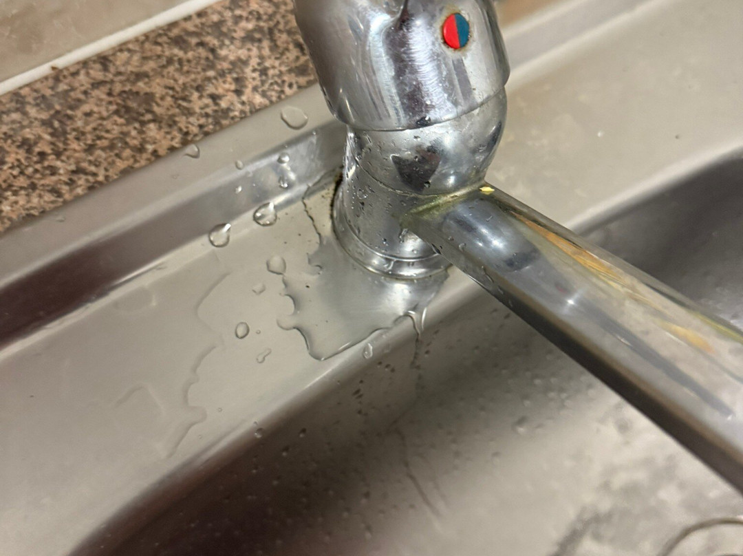 礁棕榈酒店主图