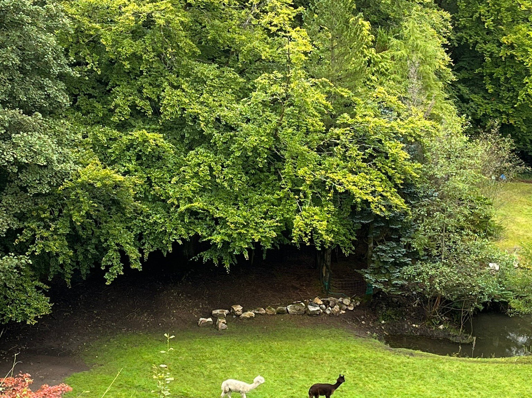 The Mill at Glynhir主图