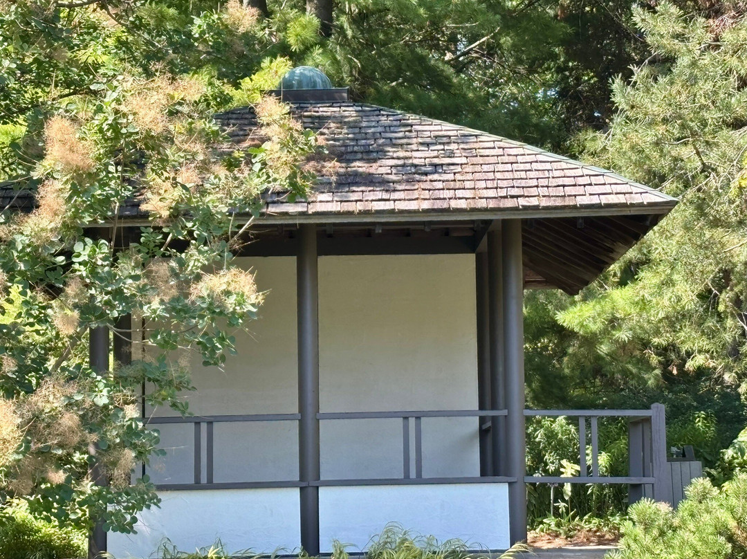 Japanese Garden-蒙特利尔必去景点