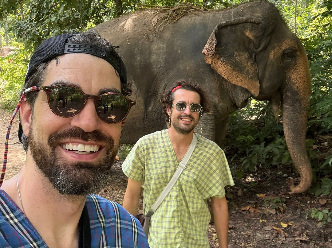 Maerim Elephant Sanctuary-夜林必去景点