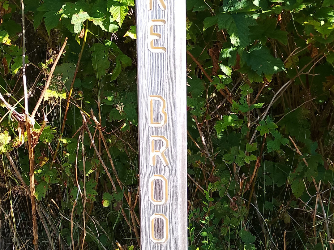 Gore Brook Trail-Daajing Giids必去景点