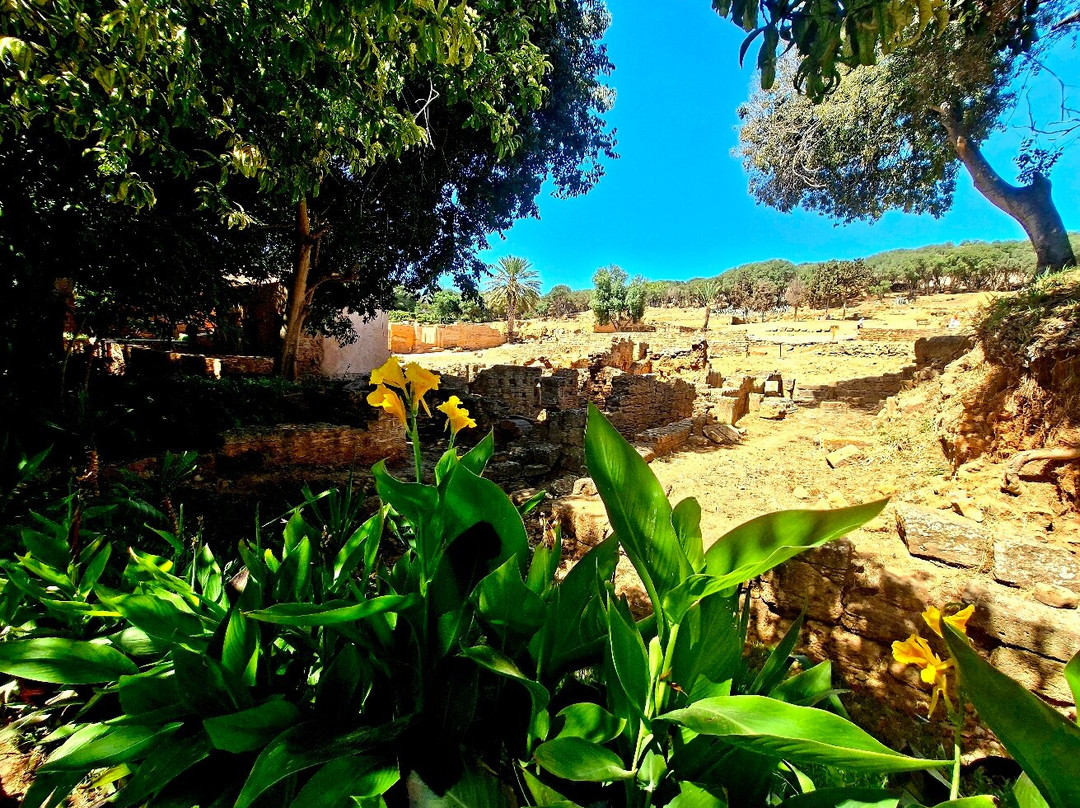 Chellah Rabat-拉巴特必去景点