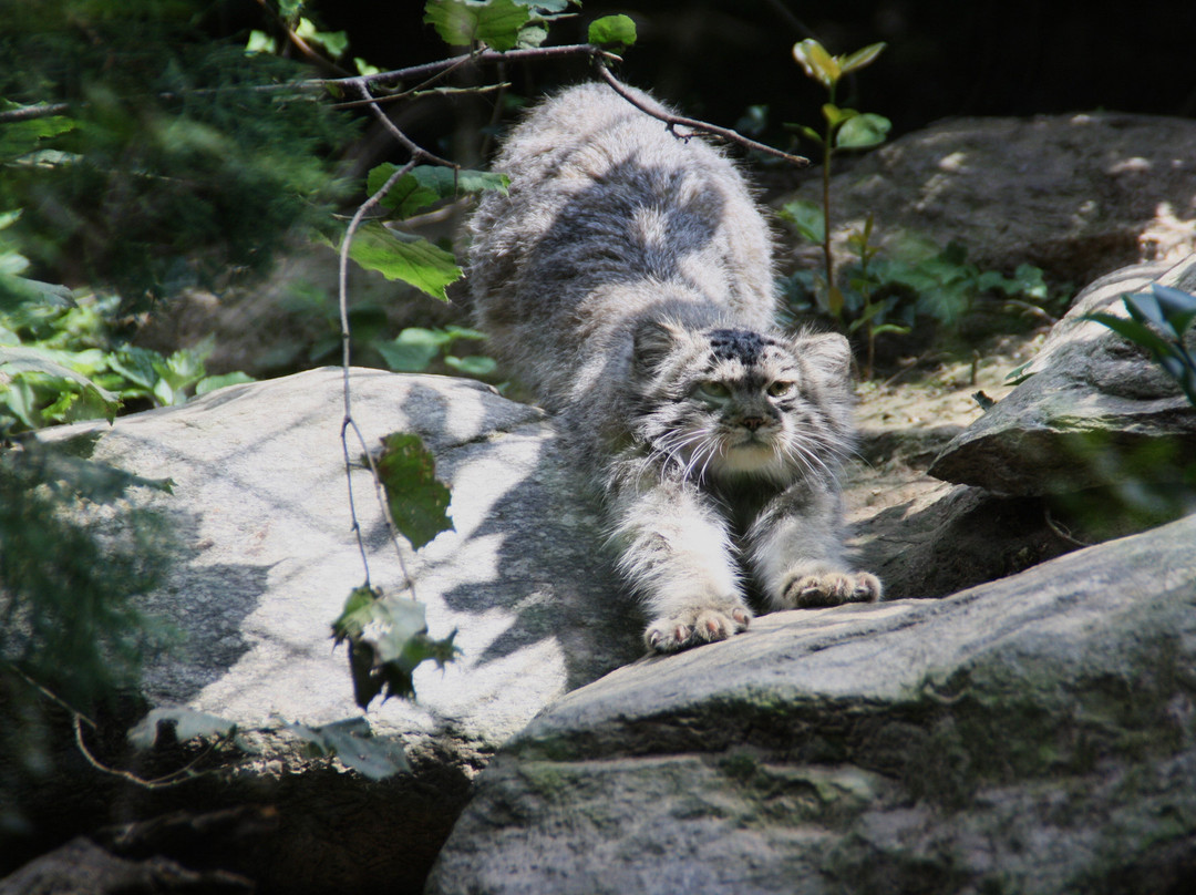 Parco Faunistico La Torbiera-Agrate Conturbia必去景点