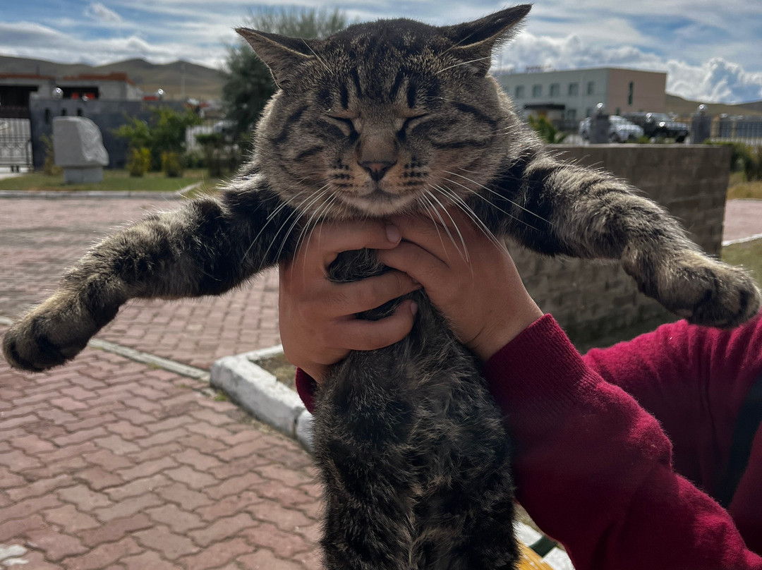 Goyo Travel-乌兰巴托必去景点