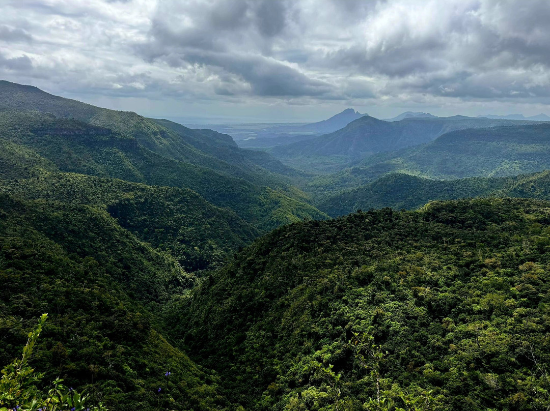 Taxi Mauritius Transfer-博巴森-荷津必去景点
