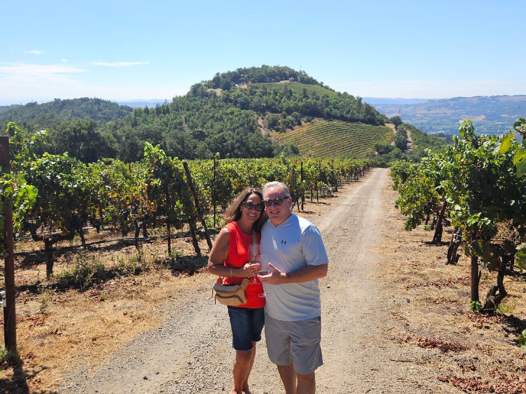 Repris Wines-索诺玛必去景点