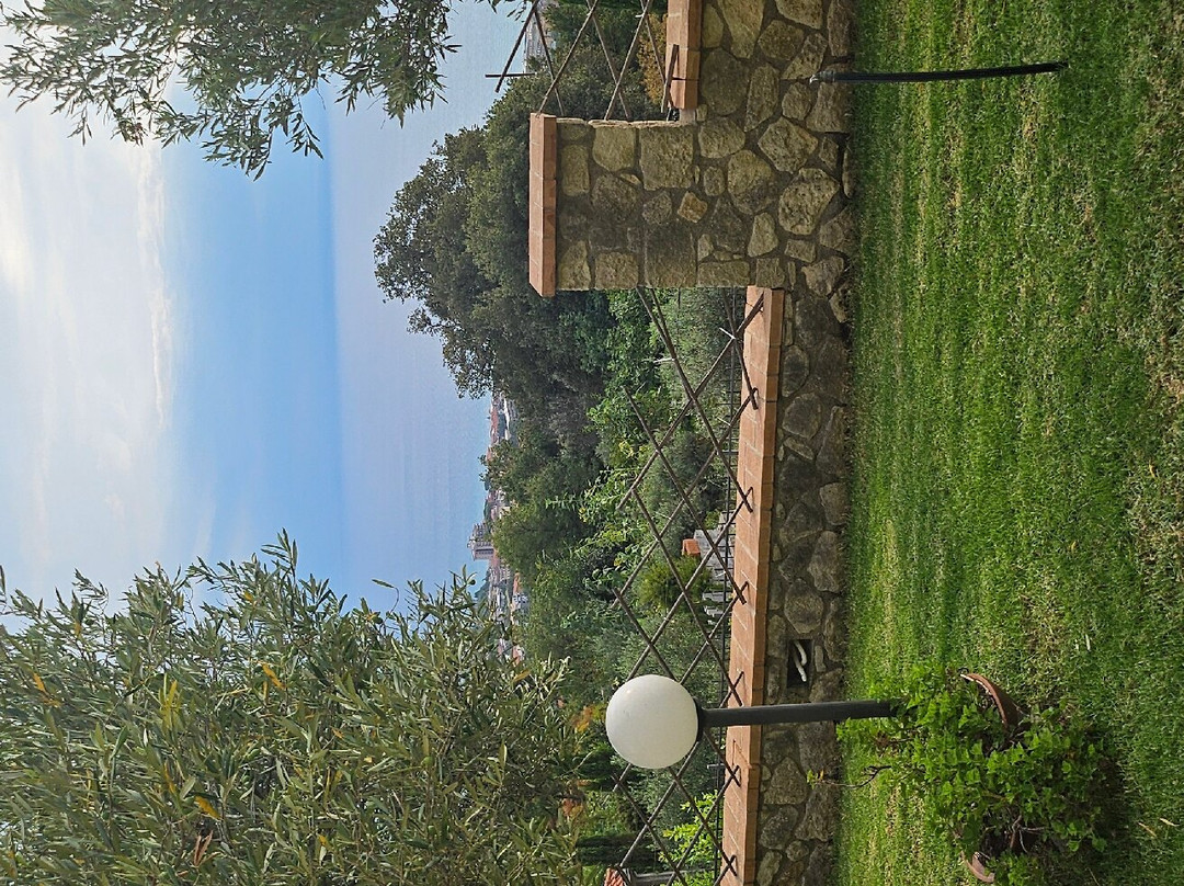 Al chiaro di  Luna主图