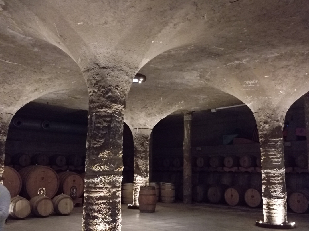 Tenuta Di Castellaro Winery-利帕里必去景点