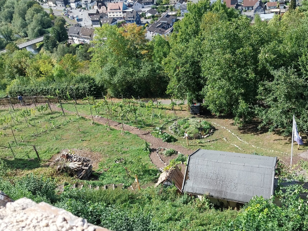 Schlossruine Arnsberg-Arnsberg必去景点