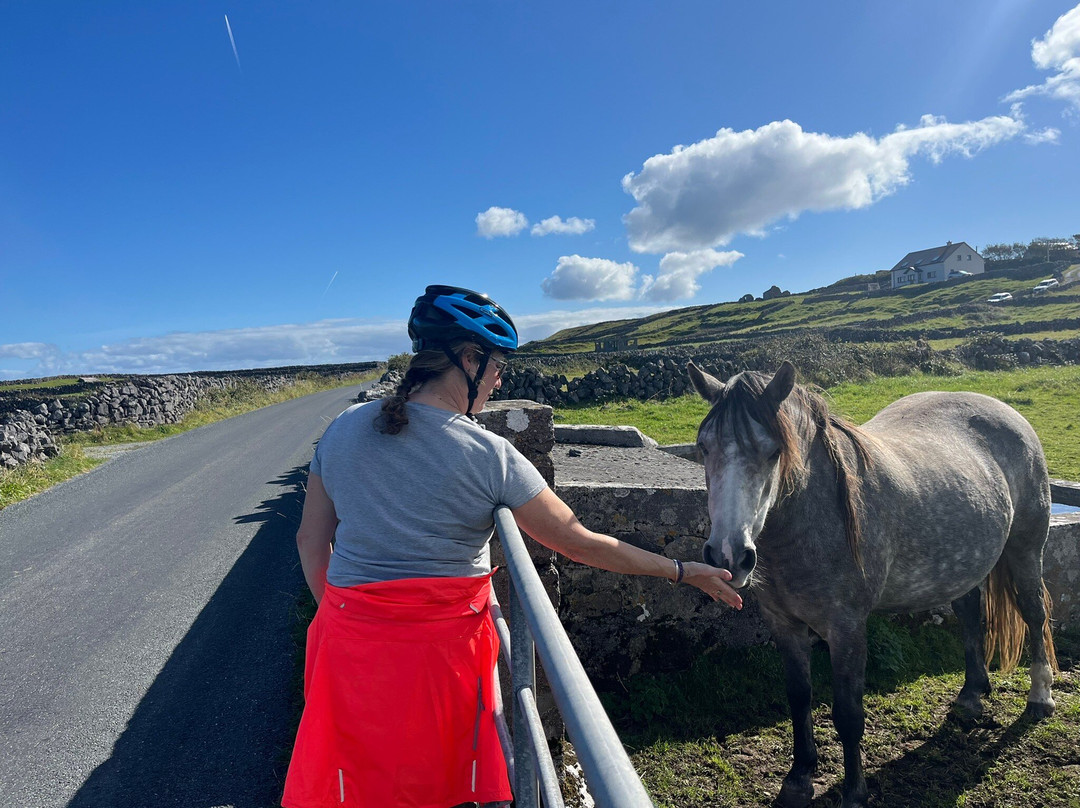 Aran Bike Hire-Inishmore必去景点