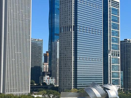 Chicago en français-芝加哥必去景点