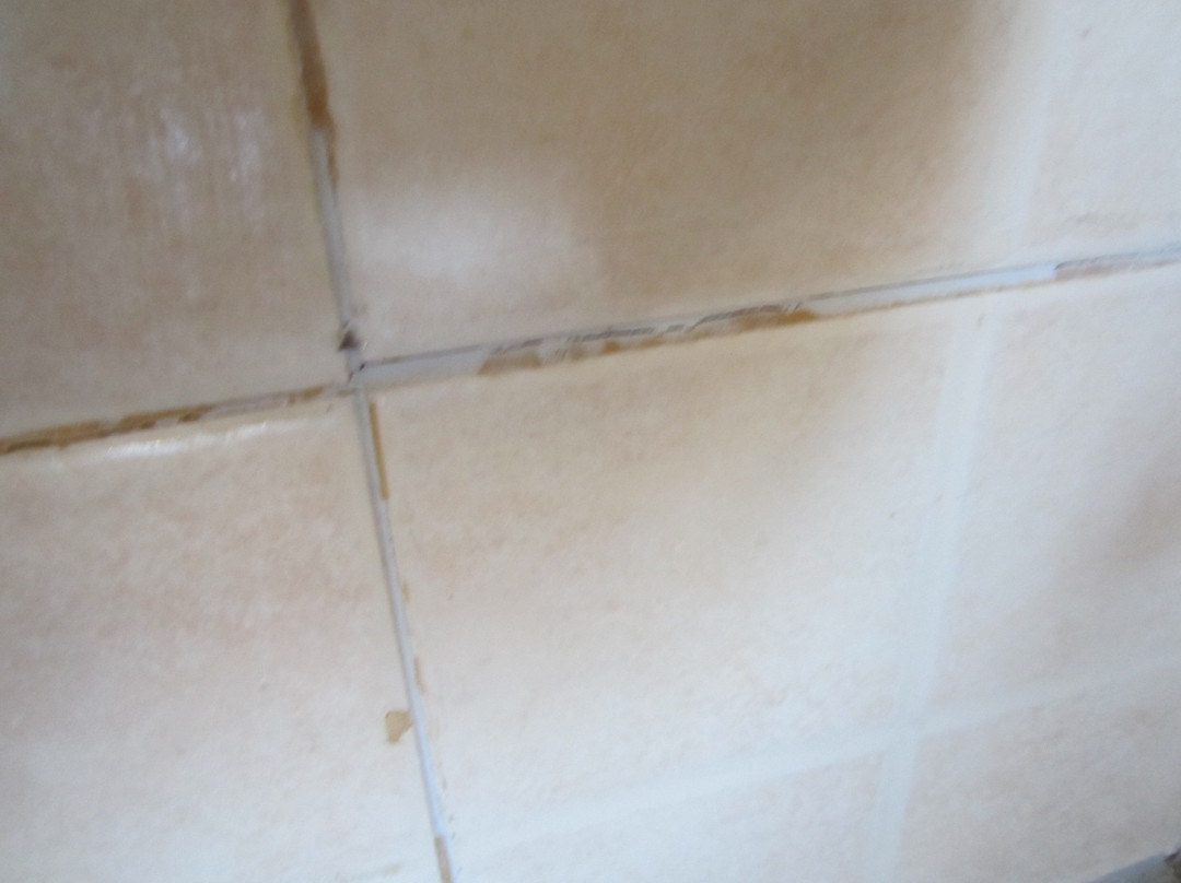 Plessas Palace Hotel主图