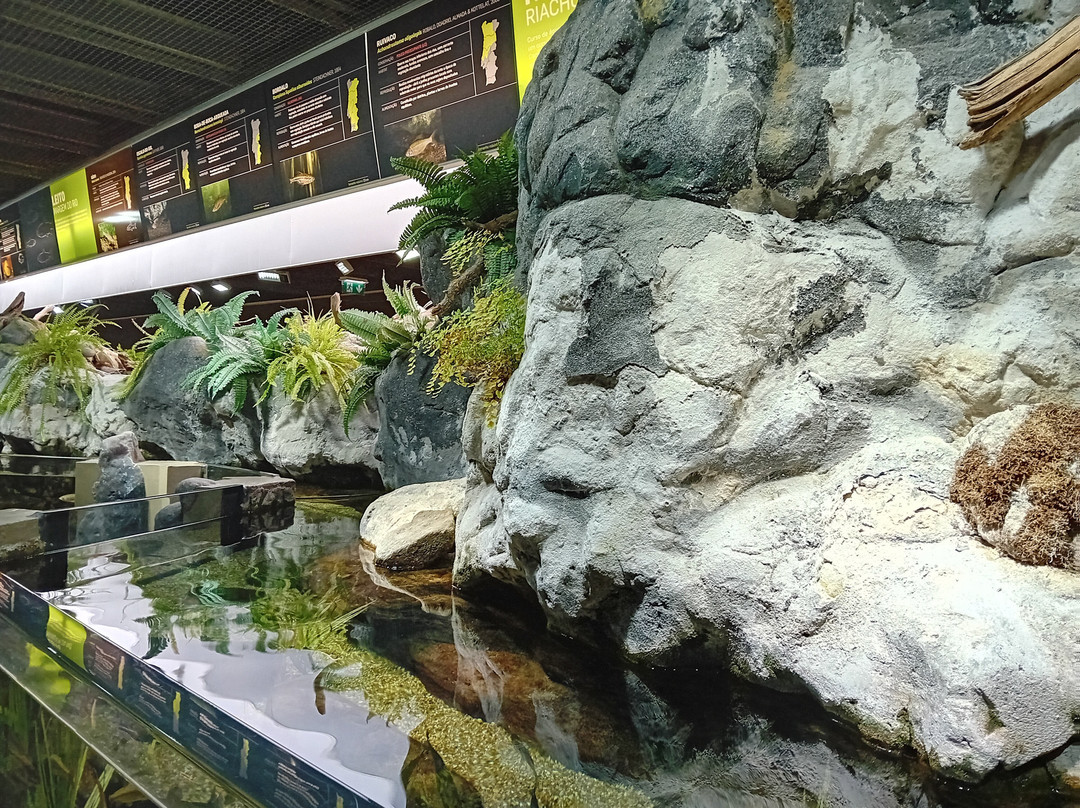 Fluviário de Mora-Cabecao必去景点