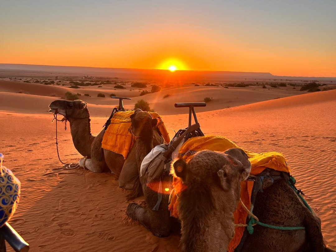 Desert Unlimited Morocco - Day Tours-瓦尔扎扎特必去景点