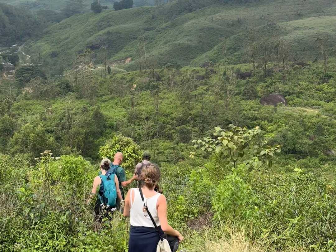 Knuckles Trail Blazers-Kandy District必去景点