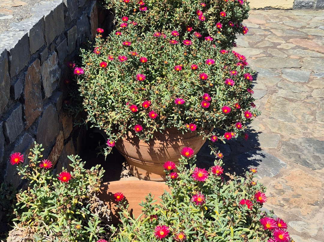 Porto Sisi Hotel Apartments主图