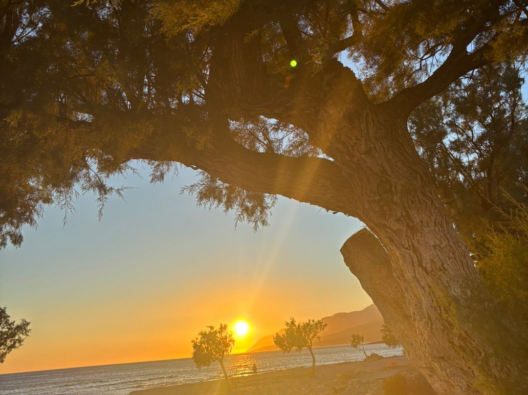 Studios Stavris主图