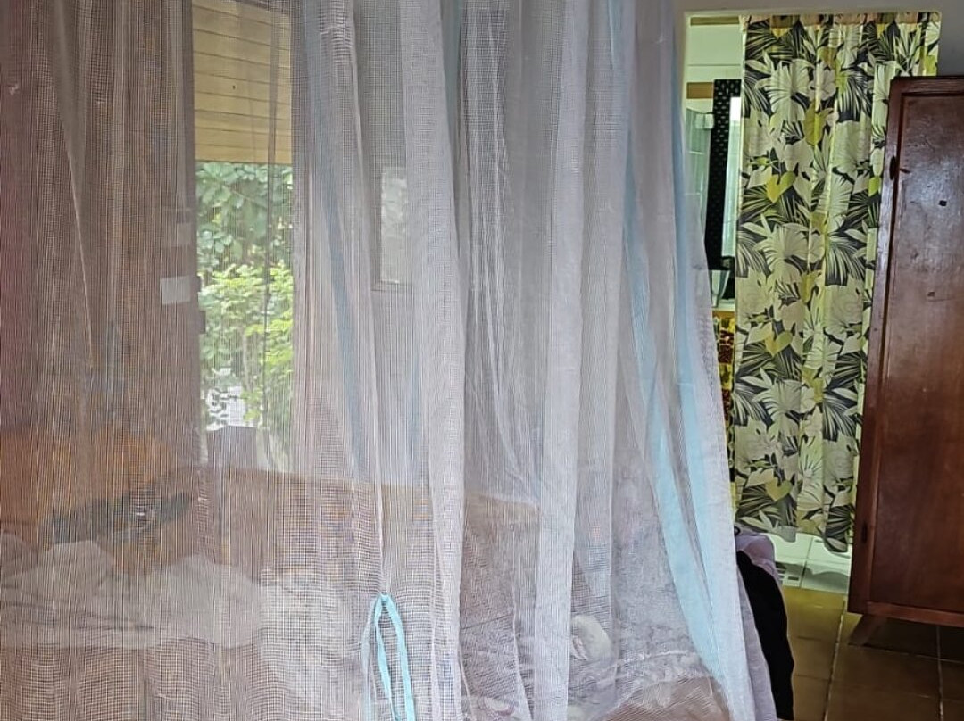 Pension Cecile主图