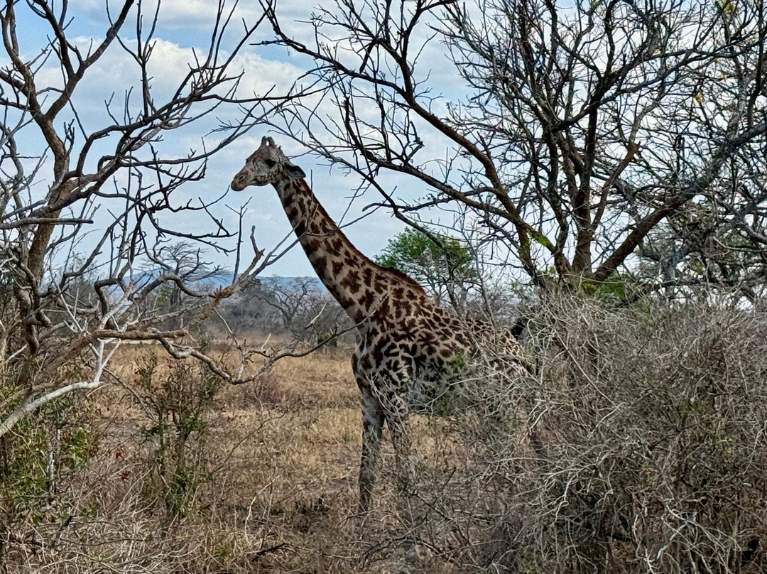 Zanleisuretours & Safaris-桑给巴尔市必去景点