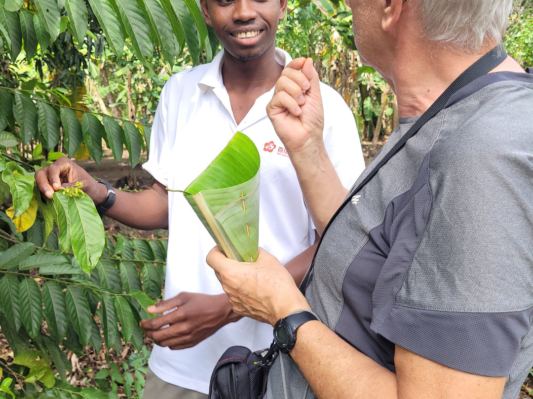 Village Green Spice farm-桑给巴尔岛必去景点