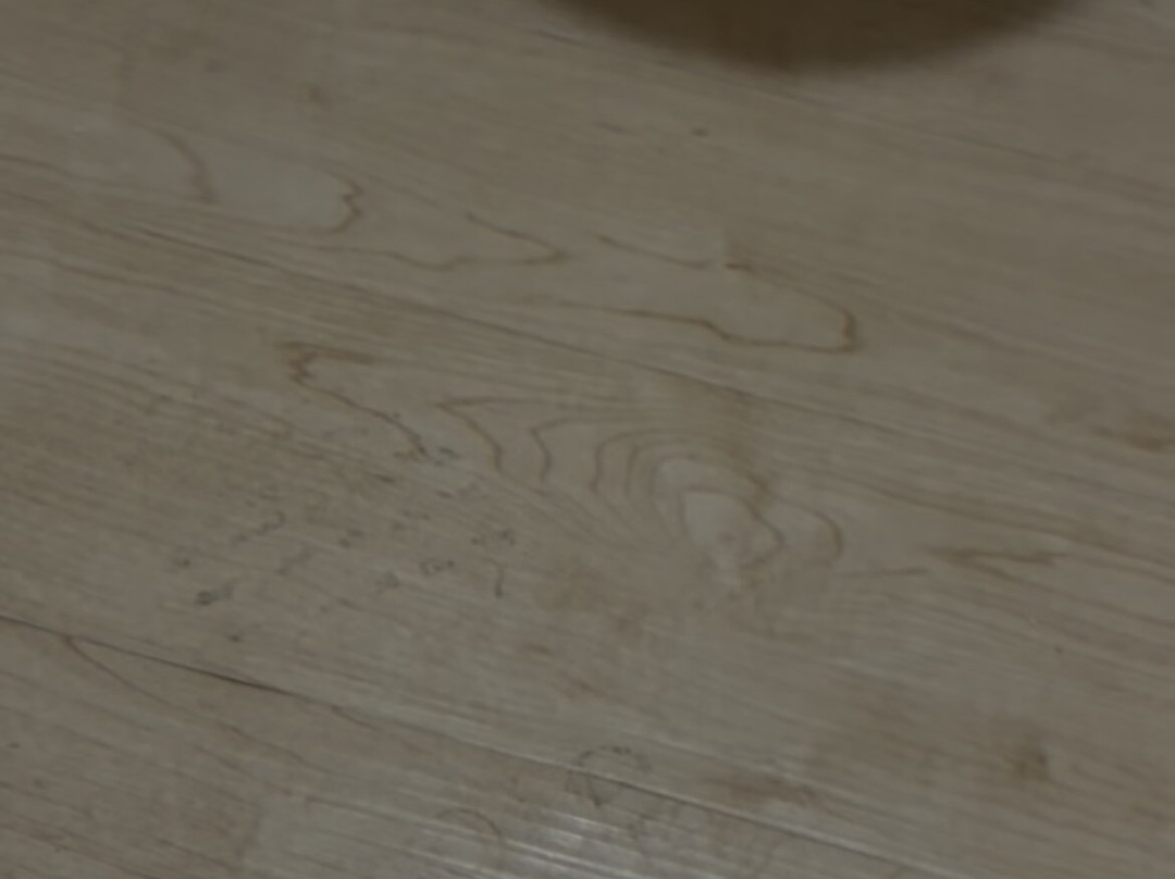 Red Roof Inn Cleveland Airport - Middleburg Heights主图