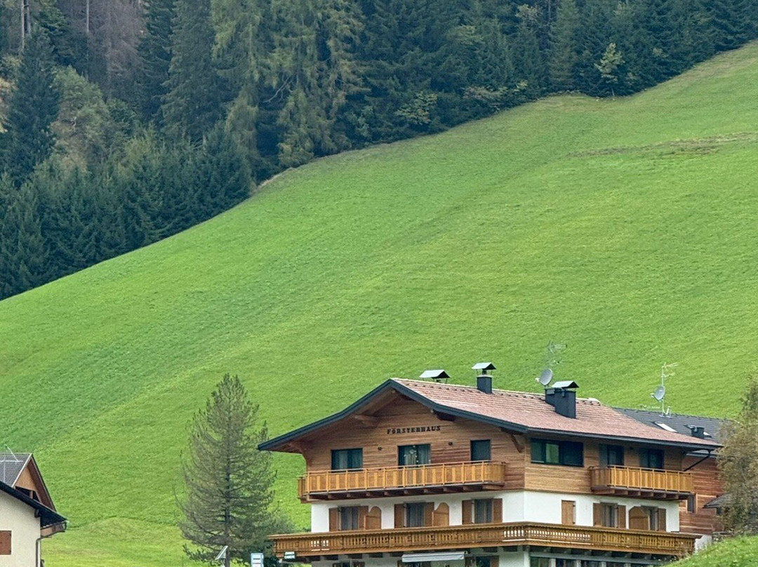 Artnatur Dolomites Hotel & Spa主图