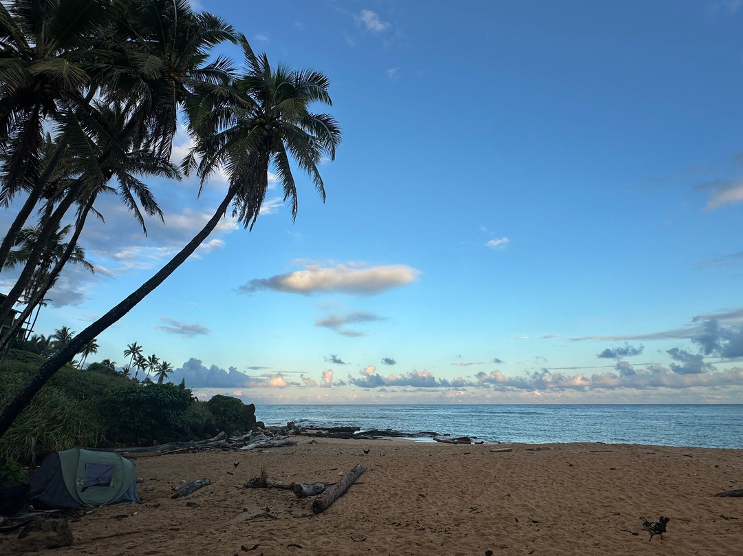 Wailua Beach-Wailua必去景点