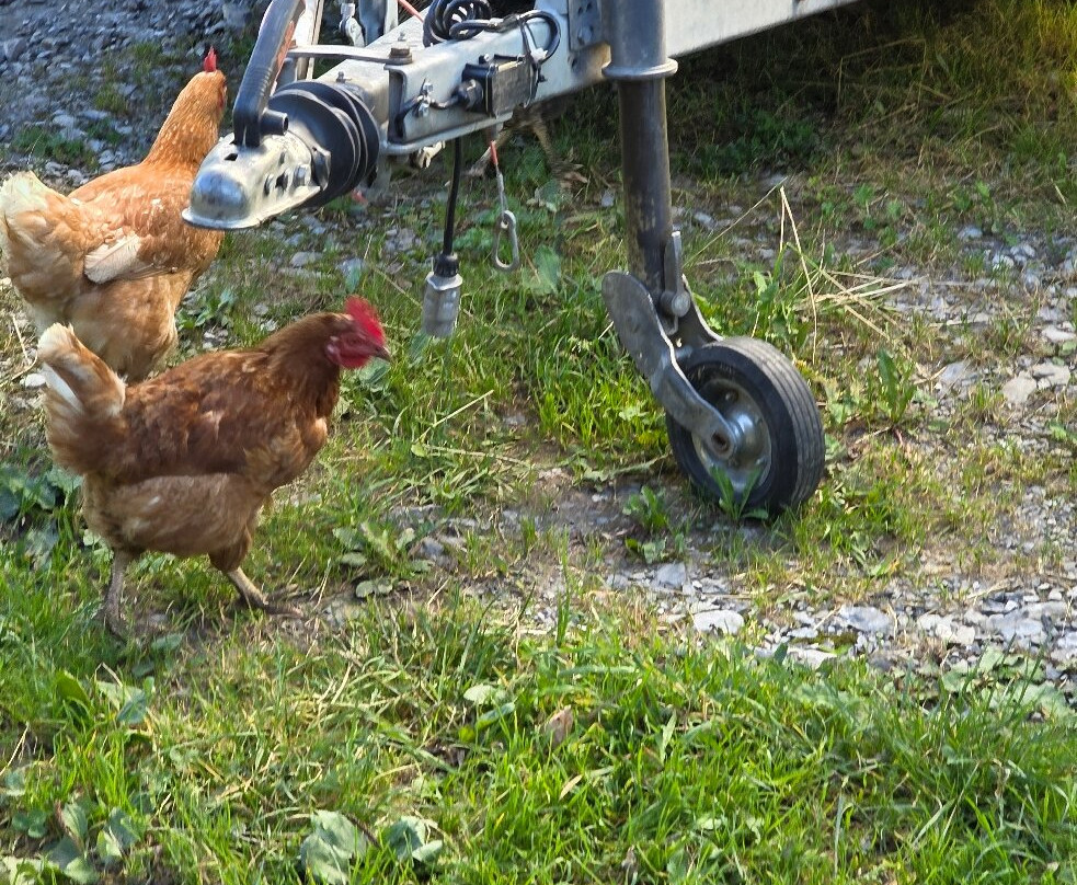 Sulwald-Isenfluh必去景点