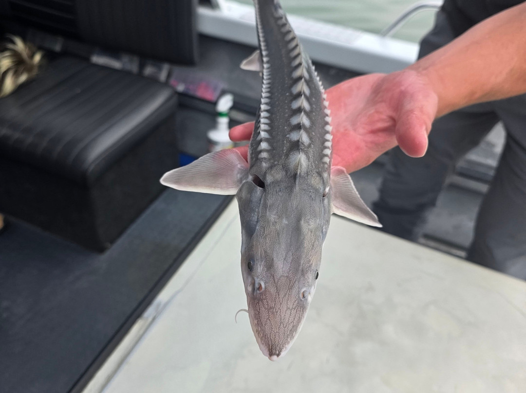 Mainlanders Sport Fishing-奇利瓦克必去景点