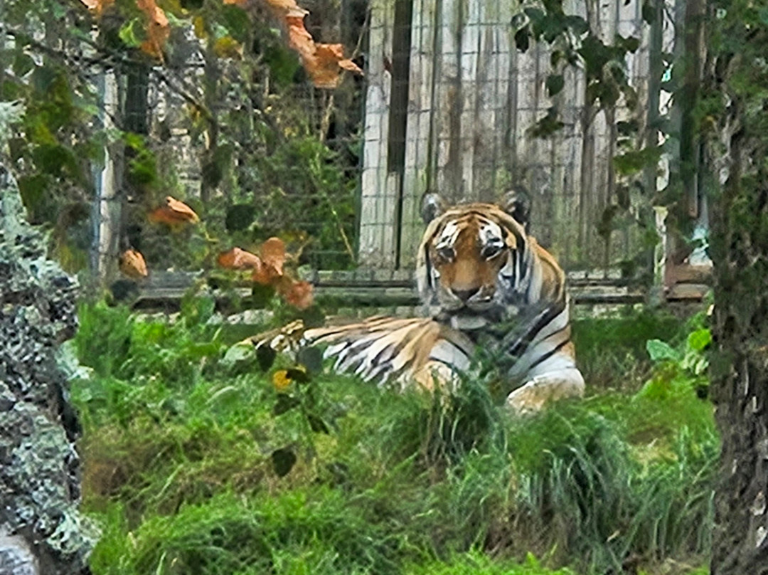 Highland Wildlife Park-Kincraig必去景点