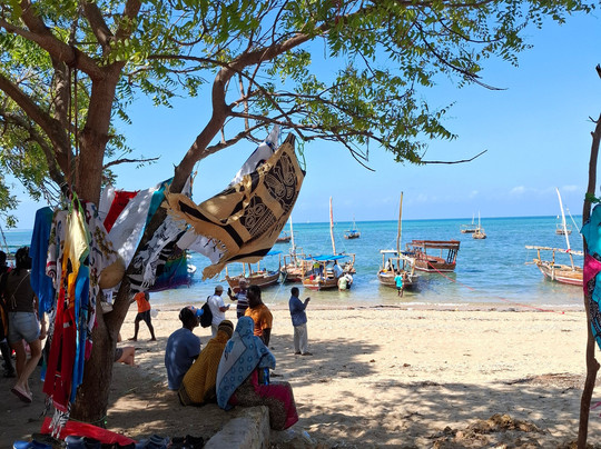 Fabio Zanzibar Tour-石头城必去景点