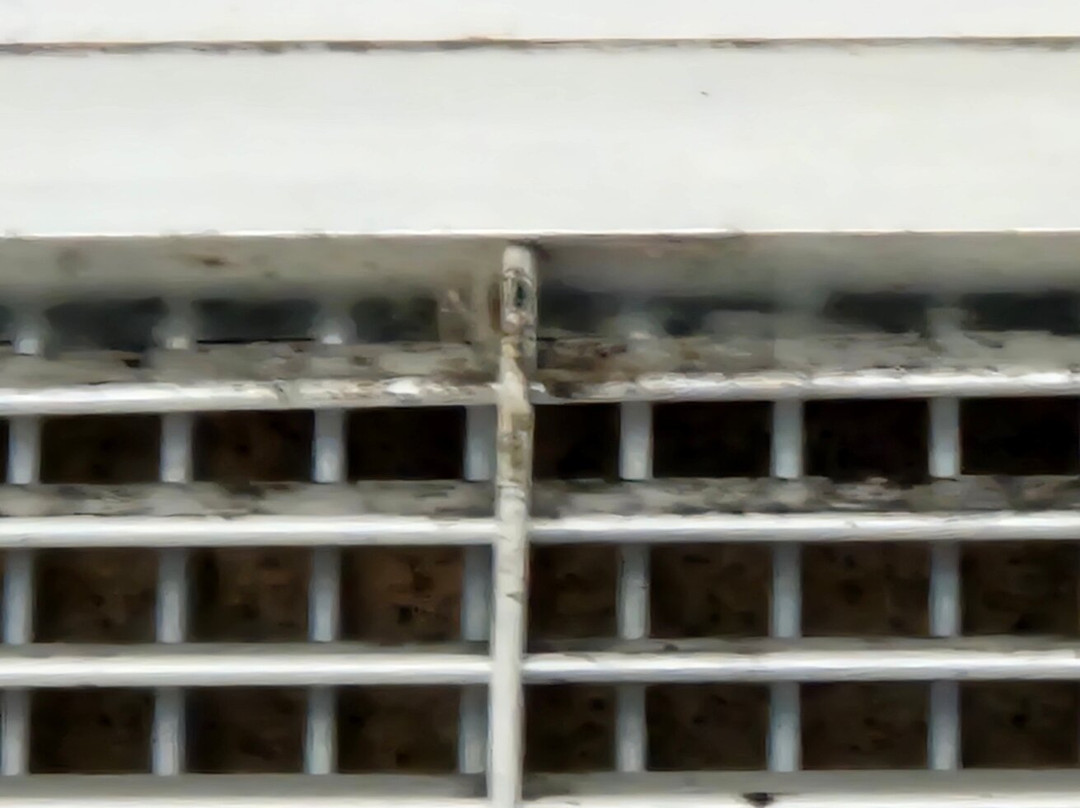 Corallia Beach-Coral Bay必去景点