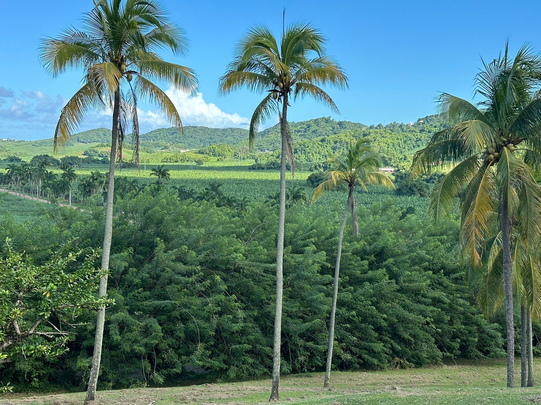 Rhums Baie Des Trésors-La Trinite必去景点