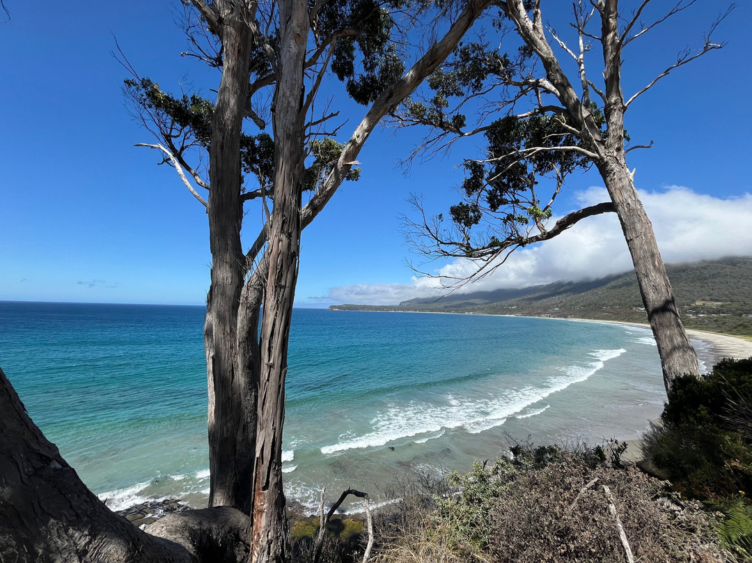 Tessellated Pavement-伊格尔霍克内克必去景点