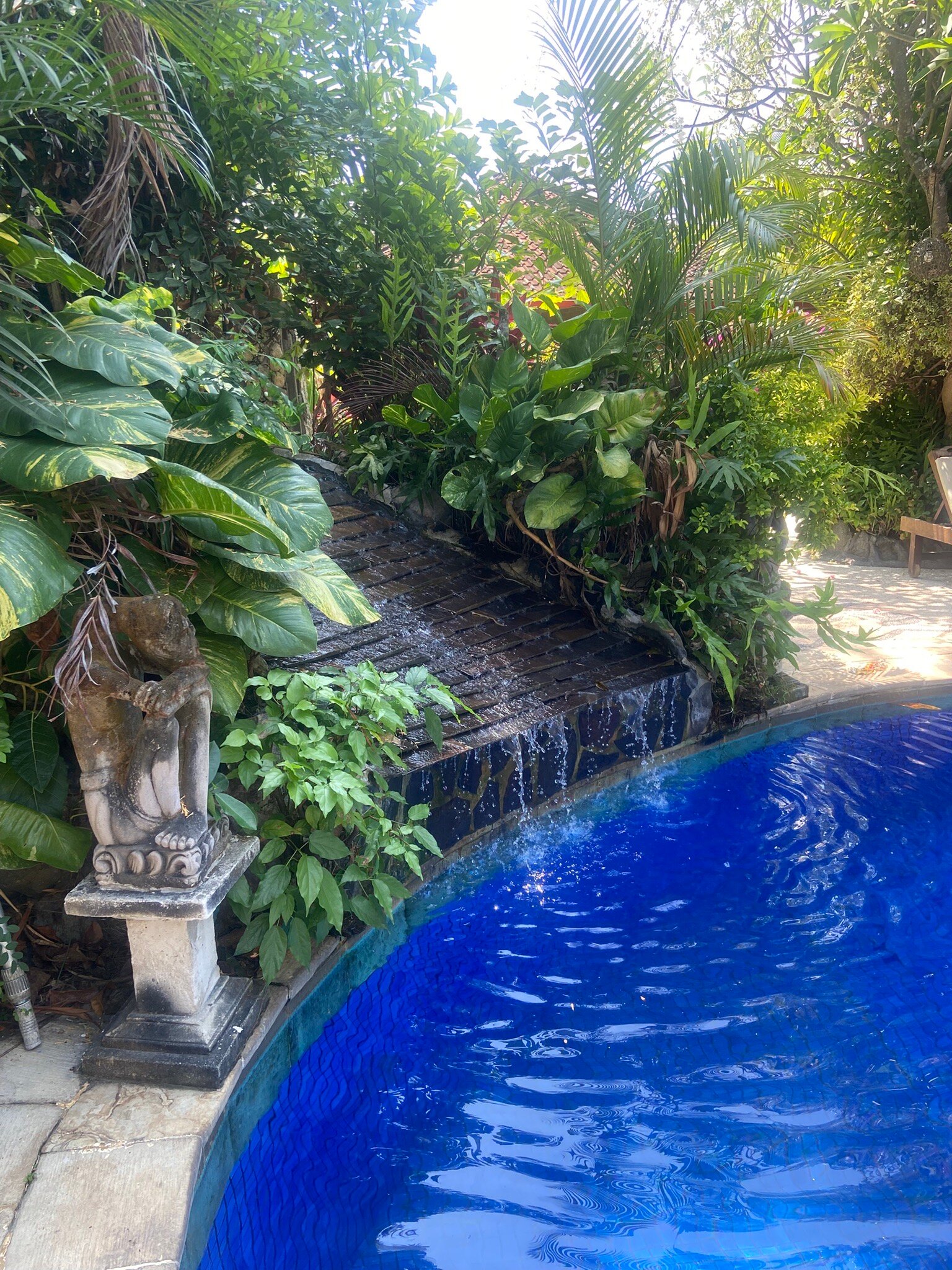 红毛丹精品酒店-官方