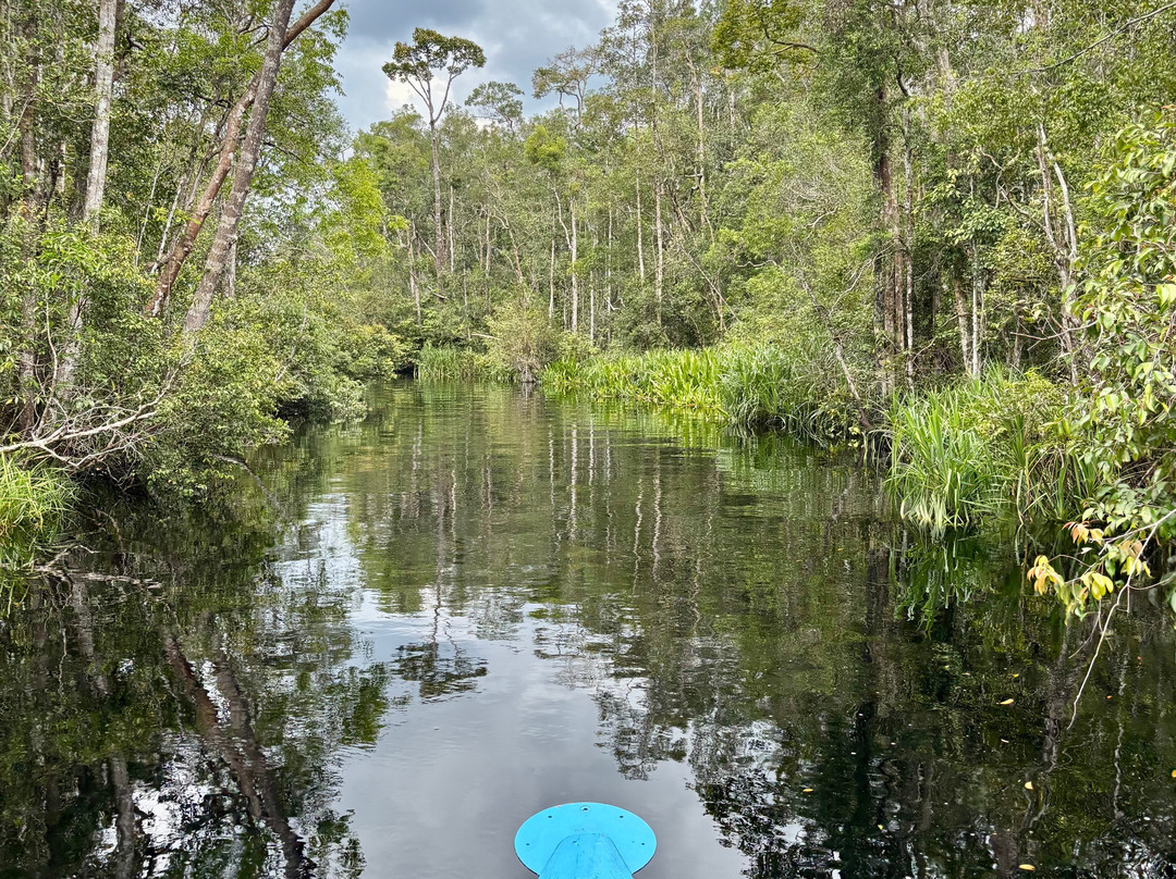 Local Guides - Tanjung Puting-Pangkalan Bun必去景点