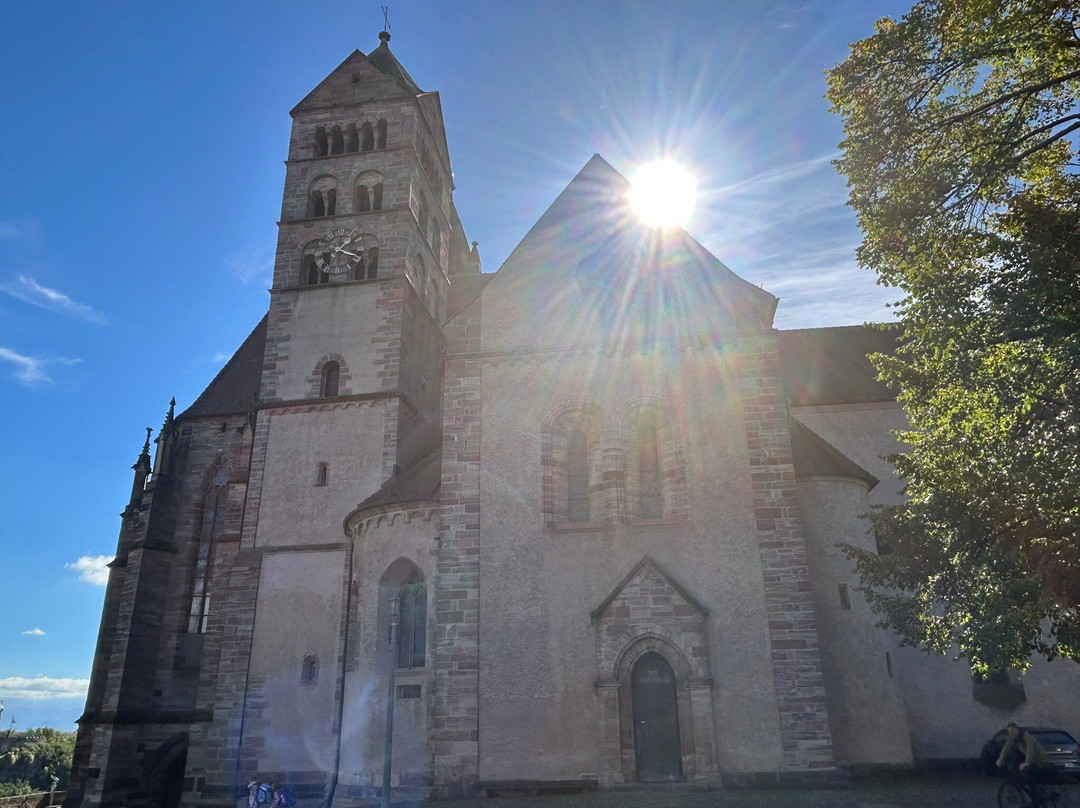 Stephansmünster Breisach-Breisach am Rhein必去景点