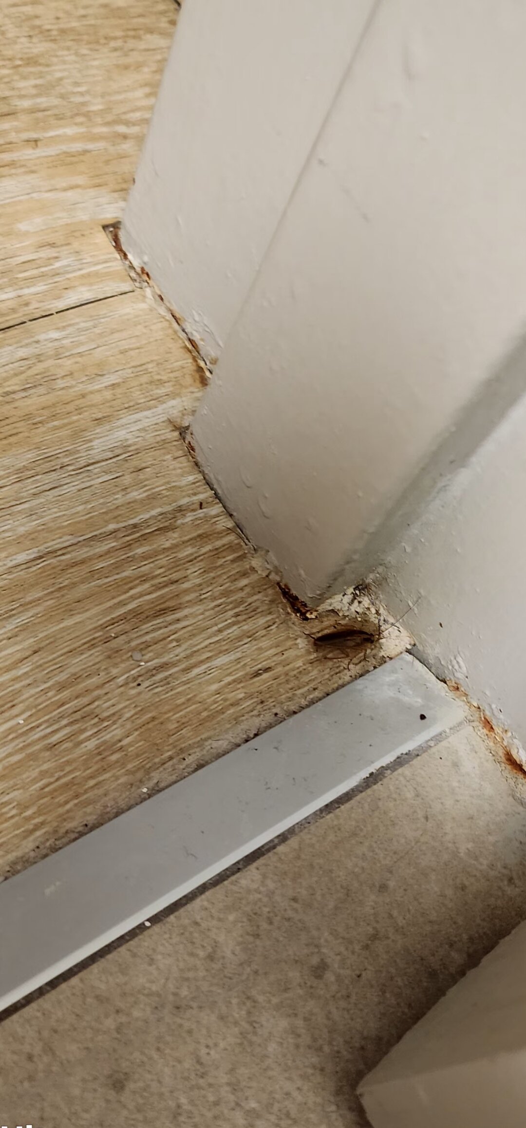 Holiday Inn Express Richmond-Mechanicsville by IHG-官方