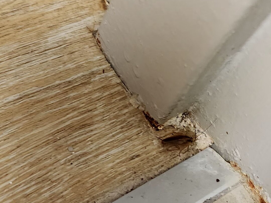 Holiday Inn Express Richmond-Mechanicsville by IHG主图