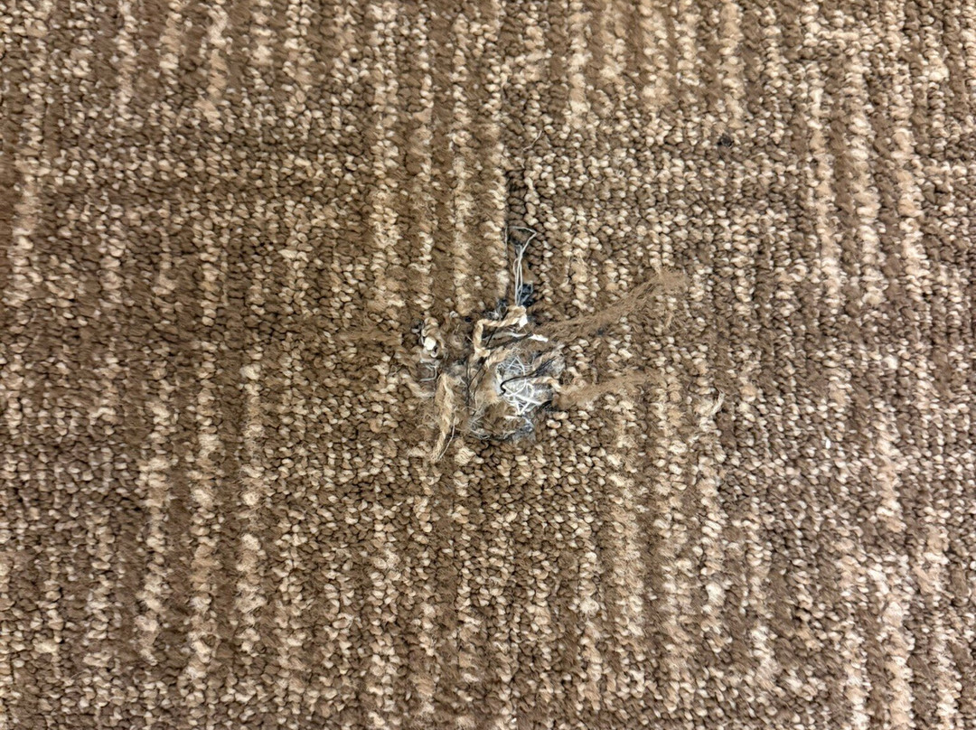 皮奥瑞亚凯富套房酒店主图